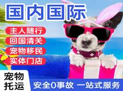 襄阳刘集航空邮寄国际宠物托运 【国